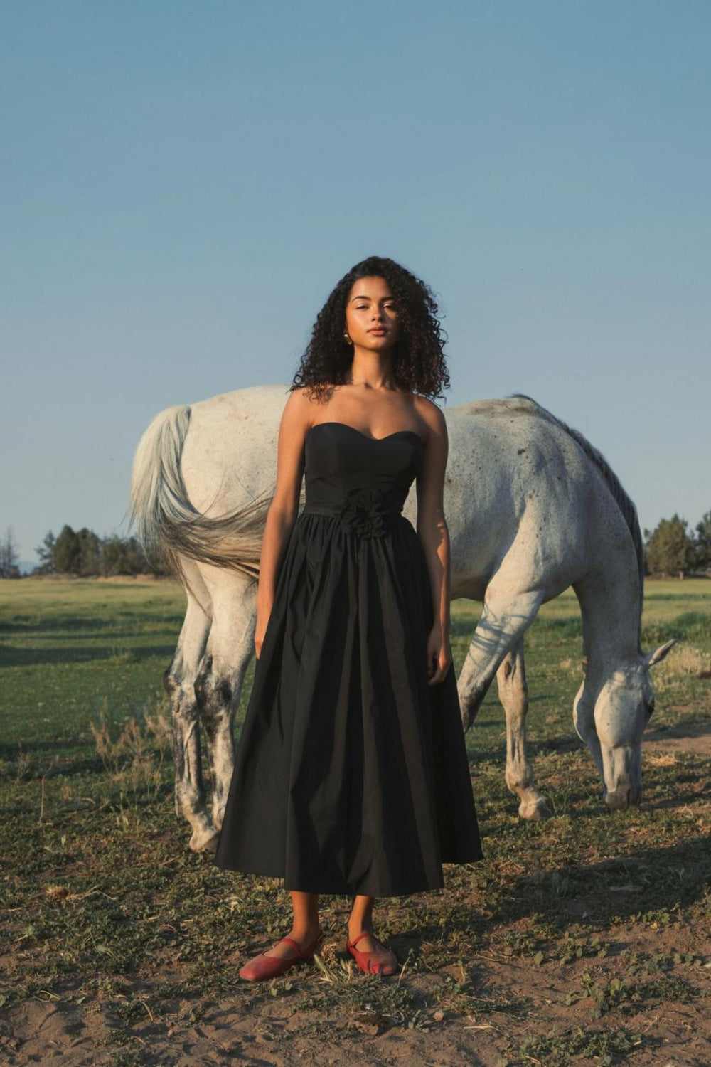 Daytime Dresses | Women Mac Duggal Faille Strapless A Line Midi Dress With 3D Rose Black